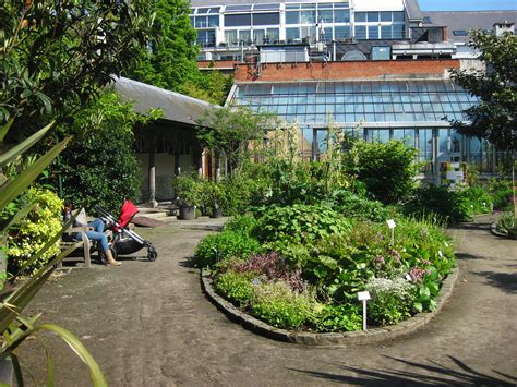 plantentuin den botaniek|Botanische Tuin